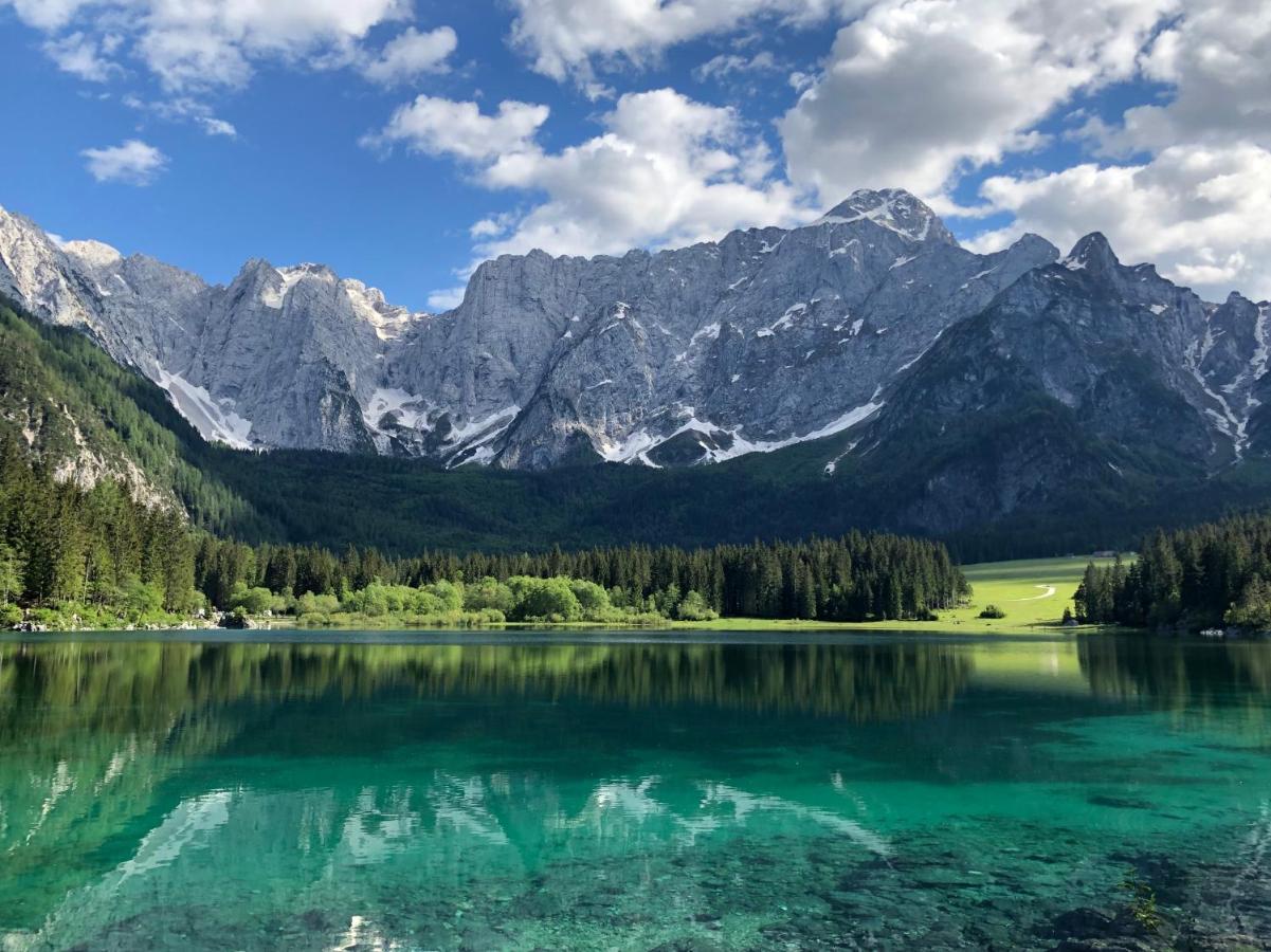 Greenwood Holiday Tarvisio Exterior foto
